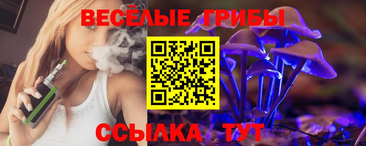 Псилоцибиновые грибы Psilocybe Красноуфимск